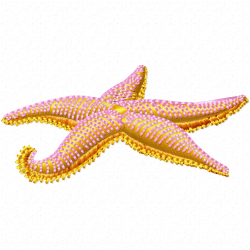 Seashell Embroidery Design 8 Seashell Embroidery Design 8